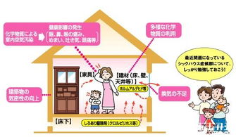 开州办公室除甲醛 开县除甲醛公司 重庆尖端治理甲醛产品技术